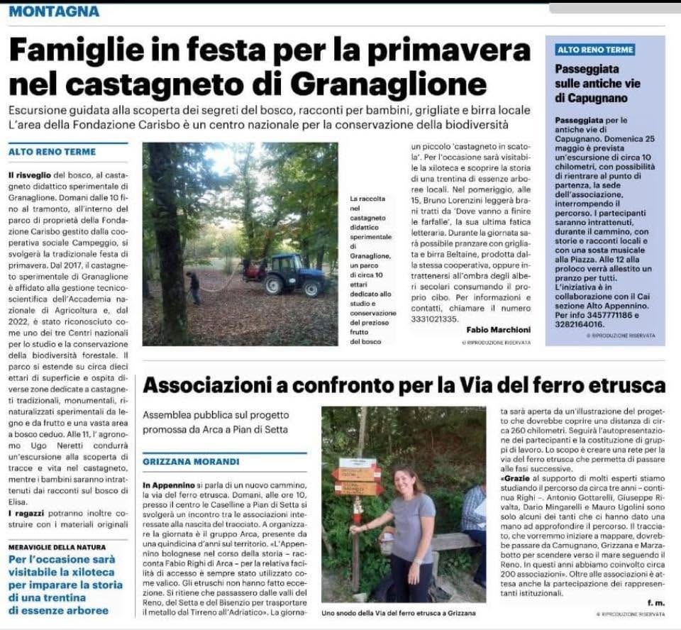 Immagine di copertina: Primavera al Castagneto di Granaglione