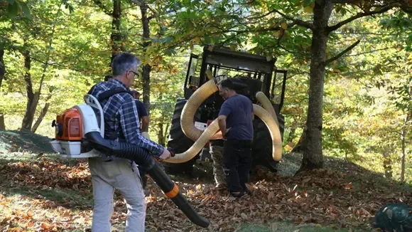 Immagine di copertina: Raccoglitori per un giorno al castagneto